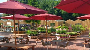 towneley-outdoor-eating-735x412